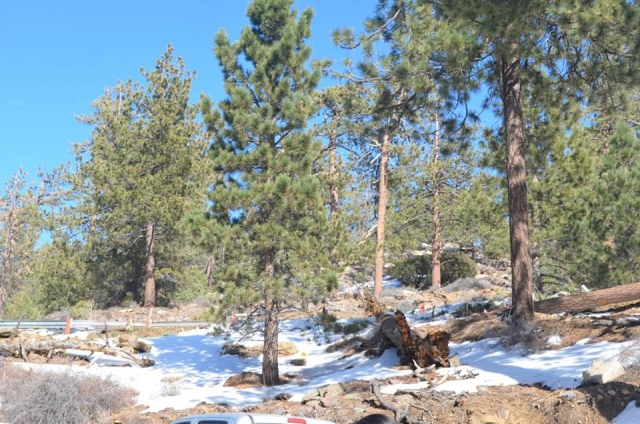 Explora el territorio